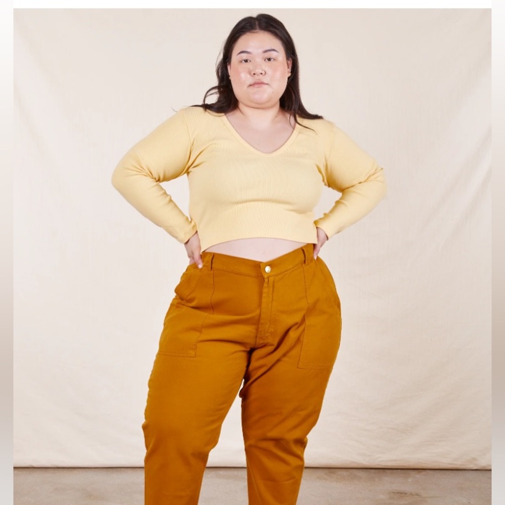 Big Bud Press Pencil Pants, Petite L, Red Clay
